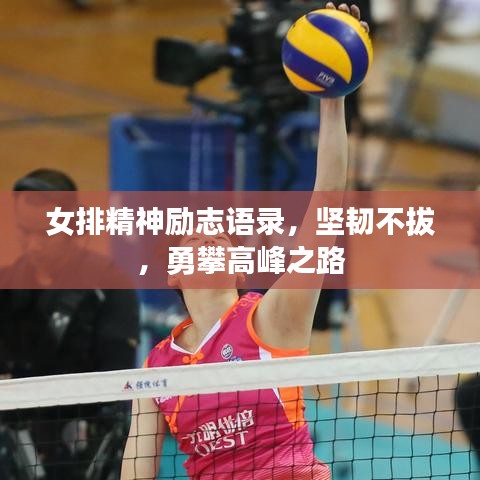 女排精神勵志語錄，堅韌不拔，勇攀高峰之路