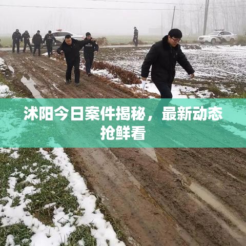 沭陽今日案件揭秘，最新動態(tài)搶鮮看