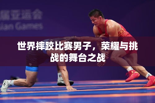 世界摔跤比賽男子，榮耀與挑戰(zhàn)的舞臺之戰(zhàn)