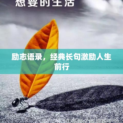 勵志語錄，經(jīng)典長句激勵人生前行