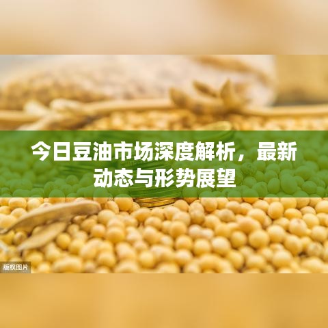 今日豆油市場(chǎng)深度解析，最新動(dòng)態(tài)與形勢(shì)展望