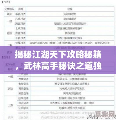 揭秘江湖天下攻略秘籍，武林高手秘訣之道獨(dú)家揭秘