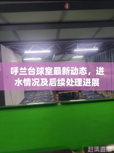 呼蘭臺(tái)球室最新動(dòng)態(tài)，進(jìn)水情況及后續(xù)處理進(jìn)展揭秘
