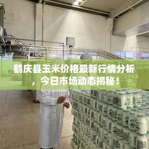 鶴慶縣玉米價(jià)格最新行情分析，今日市場動(dòng)態(tài)揭秘！