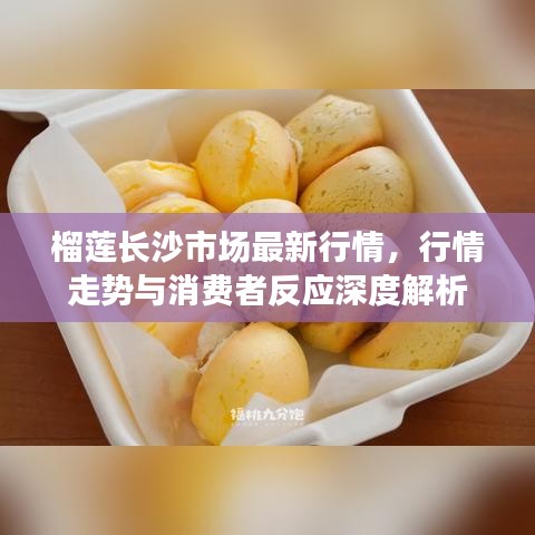 榴蓮長沙市場最新行情，行情走勢(shì)與消費(fèi)者反應(yīng)深度解析