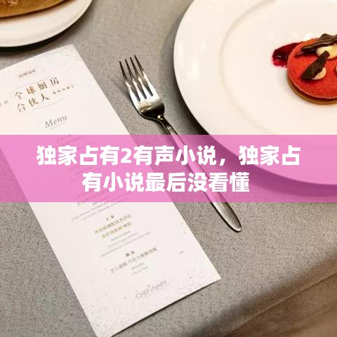 獨家占有2有聲小說，獨家占有小說最后沒看懂 