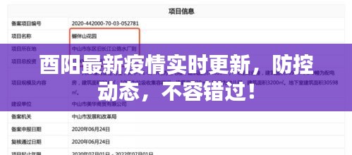 酉陽最新疫情實時更新，防控動態(tài)，不容錯過！