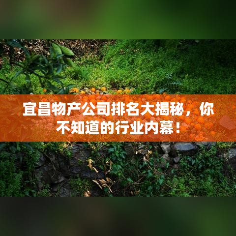 宜昌物產(chǎn)公司排名大揭秘，你不知道的行業(yè)內(nèi)幕！