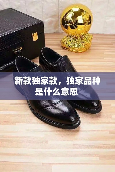 新款獨(dú)家款，獨(dú)家品種是什么意思 