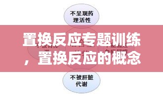 置換反應(yīng)專題訓(xùn)練，置換反應(yīng)的概念和例子 