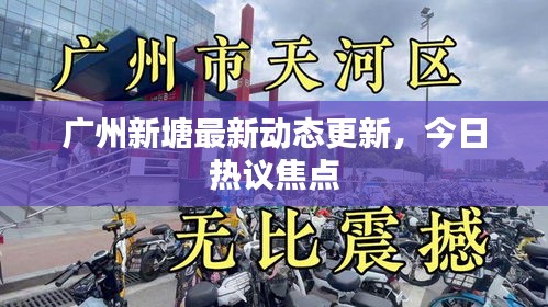 廣州新塘最新動(dòng)態(tài)更新，今日熱議焦點(diǎn)