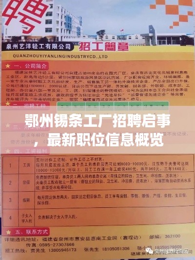 鄂州錫條工廠招聘啟事，最新職位信息概覽