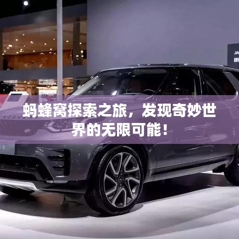 螞蜂窩探索之旅，發(fā)現(xiàn)奇妙世界的無限可能！