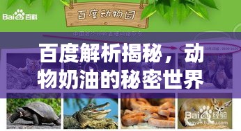 百度解析揭秘，動(dòng)物奶油的秘密世界！