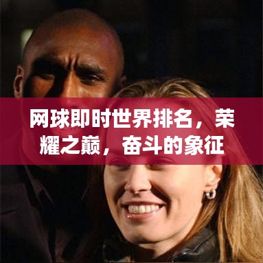 網(wǎng)球即時世界排名，榮耀之巔，奮斗的象征