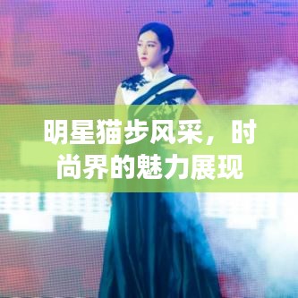 明星貓步風采，時尚界的魅力展現(xiàn)