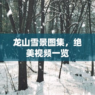 龍山雪景圖集，絕美視頻一覽