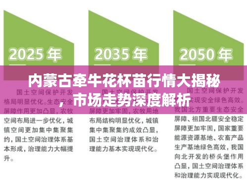 內(nèi)蒙古牽?；ū缧星榇蠼颐?，市場走勢深度解析