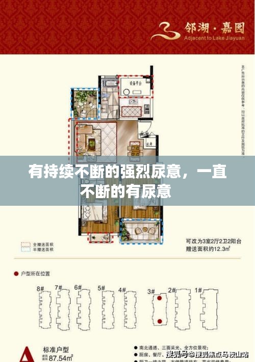 有持續(xù)不斷的強(qiáng)烈尿意，一直不斷的有尿意 