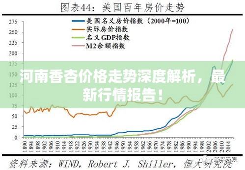 河南香杏價格走勢深度解析，最新行情報告！
