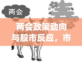 兩會政策動向與股市反應，市場走勢揭秘，投資機會前瞻