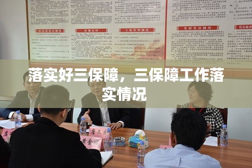 落實(shí)好三保障，三保障工作落實(shí)情況 