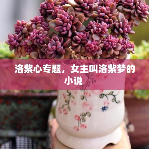 業(yè)績展示 第9頁