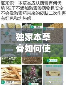 獨(dú)家本草膏如何使用，獨(dú)家本草膏有副作用嗎 