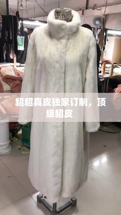 貂貂真皮獨家訂制，頂級貂皮 