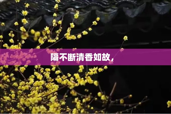 隔不斷清香如故， 
