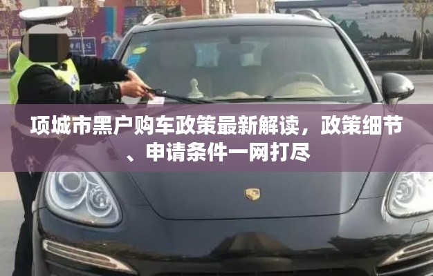 項城市黑戶購車政策最新解讀，政策細節(jié)、申請條件一網(wǎng)打盡