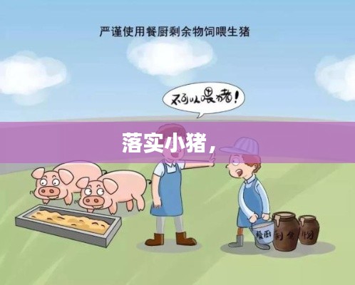 落實(shí)小豬， 