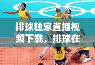 排球獨(dú)家直播視頻下載，排球在線直播免插件 