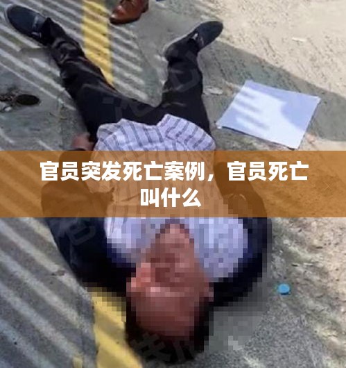 官員突發(fā)死亡案例，官員死亡叫什么 
