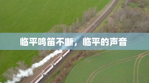 臨平鳴笛不斷，臨平的聲音 