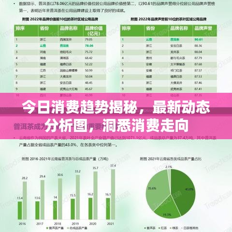 今日消費(fèi)趨勢(shì)揭秘，最新動(dòng)態(tài)分析圖，洞悉消費(fèi)走向
