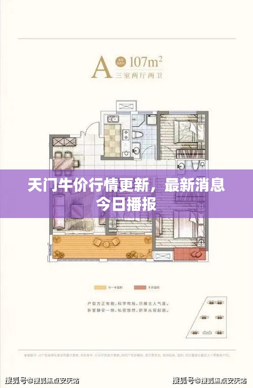 天門牛價(jià)行情更新，最新消息今日播報(bào)