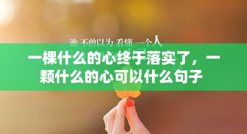 一棵什么的心終于落實(shí)了，一顆什么的心可以什么句子 