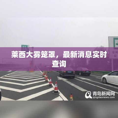 萊西大霧籠罩，最新消息實(shí)時(shí)查詢