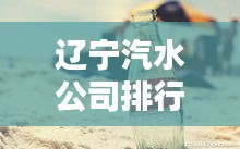 遼寧汽水公司排行榜揭曉，誰(shuí)領(lǐng)風(fēng)騷？