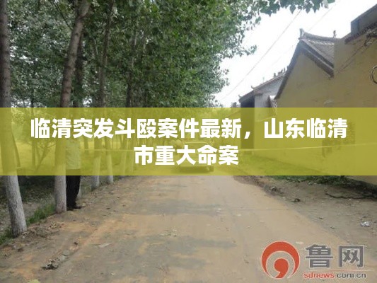 臨清突發(fā)斗毆案件最新，山東臨清市重大命案 