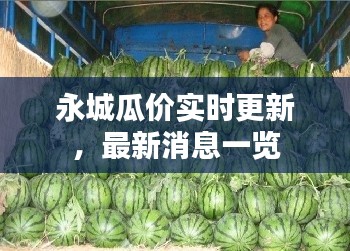 永城瓜價(jià)實(shí)時(shí)更新，最新消息一覽