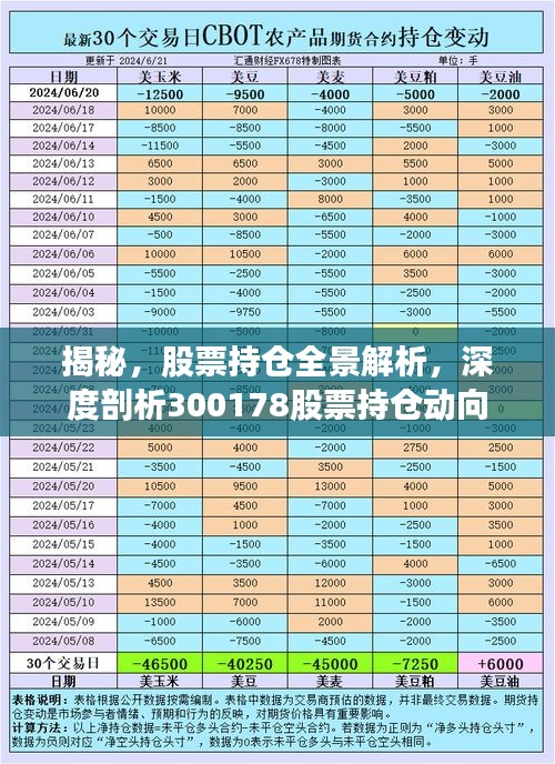 揭秘，股票持倉(cāng)全景解析，深度剖析300178股票持倉(cāng)動(dòng)向