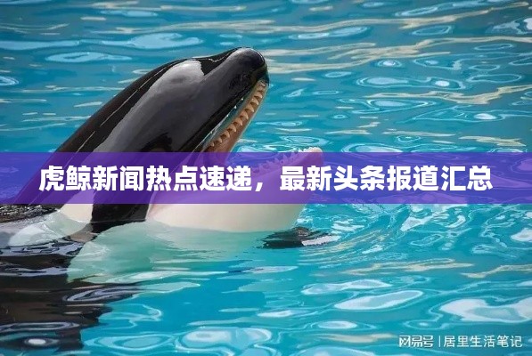 在線留言 第5頁