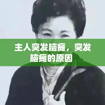主人突發(fā)腦癱，突發(fā)腦癱的原因 