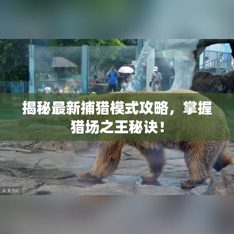揭秘最新捕獵模式攻略，掌握獵場(chǎng)之王秘訣！