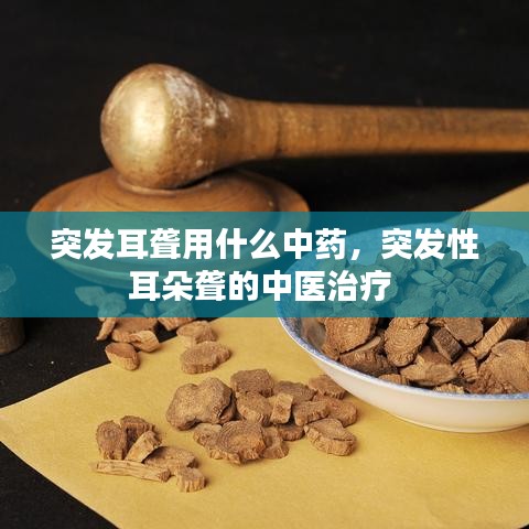 突發(fā)耳聾用什么中藥，突發(fā)性耳朵聾的中醫(yī)治療 