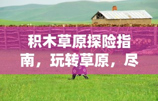 積木草原探險(xiǎn)指南，玩轉(zhuǎn)草原，盡享樂趣！