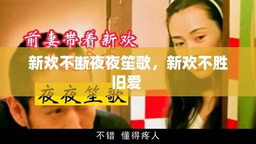 新歡不斷夜夜笙歌，新歡不勝舊愛 