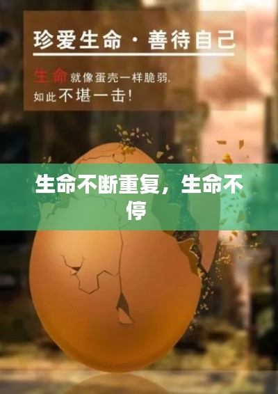 生命不斷重復(fù)，生命不停 